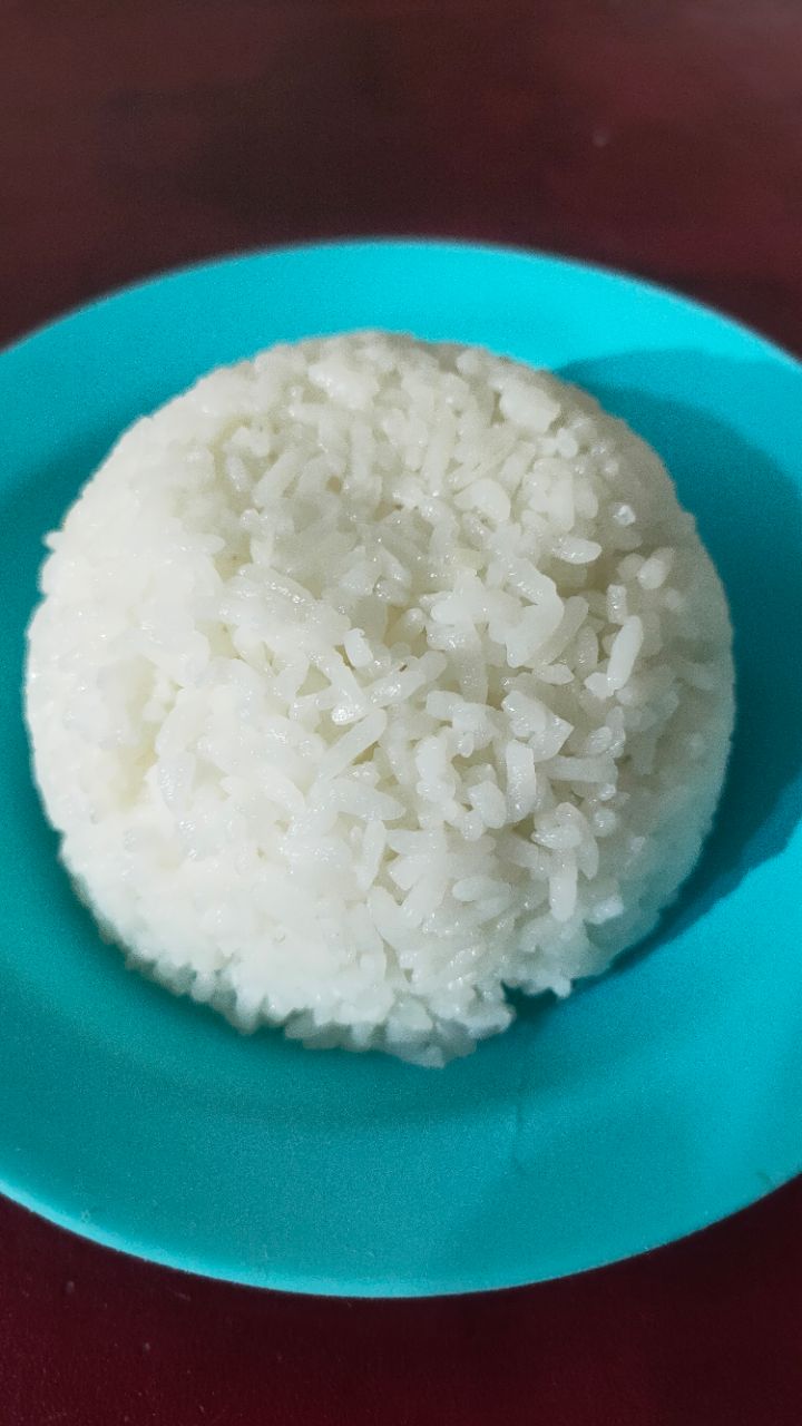 nasi 1 porsi