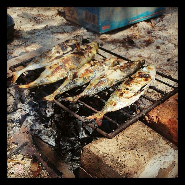 Paket ikan katombo 3 ekor